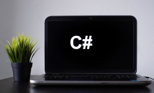 Why is C# so popular and why will its popularity continue to grow in the future?